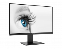 23.8 MSI PRO MP2412 FHD 1MS 100HZ FLAT VA 